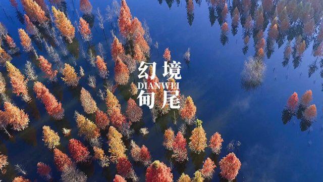 熊仔之熊猫大侠修行路