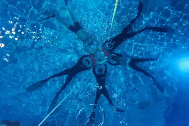 主人在医院死亡,忠犬每天守在医院门口,已经守了四个月仍在继续